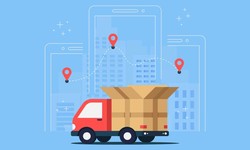 Future-Ready Logistics: Last Mile Delivery in the Digital Age