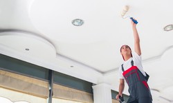 Creating Vibrant Work Environments: Premier Interior Painters for Businesses