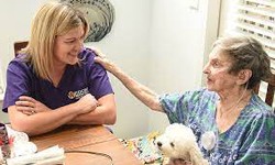 Empowering Independence: A Comprehensive Guide to Home Care Assistance in Raleigh, North Carolina