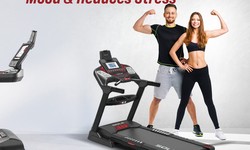 Unveiling the Excellence of Sole Fitness: A Comprehensive Guide to Sole F63, F80 Treadmills, E95 Ellipticals, and More