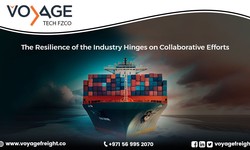 How has the Red Sea Crisis Impacted the Freight Forwarding Industry in the MENAP Region