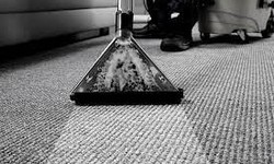 From Drab to Fab: Achieve Pristine Carpets with Pro Cleaning in Flynn