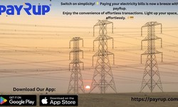 Fast and Secure Electricity Bill Payments with payRup.