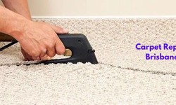 Brisbane's Carpet Makeover: Expert Insights on Revitalizing Your Flooring