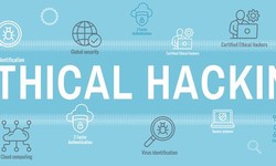 Elevate Your Cybersecurity Quotient: Ethical Hacking Course Now Available in Jaipur
