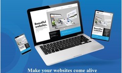 Risezonic - Best Website Development Services in Delhi NCR