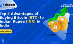 Top 5 Advantages of Buying Bitcoin (BTC) to Indian Rupee (INR) in India