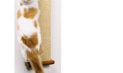 The Ultimate Guide to Choosing a Smart Cat Scratching Post for Your Feline Friend