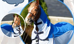 What Temperature Should I Put a Rug on My Horse? A Comprehensive Guide