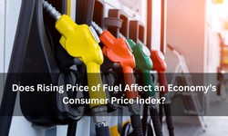 Does Rising Price of Fuel Affect an Economy's Consumer Price Index?