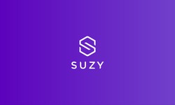 Introducing Suzy: the Future of Consumer Insights