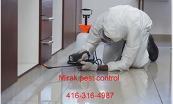 Mirak Pest Control: Your Trusted Partner for Oakville Pest Management