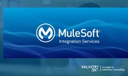 5 Reasons Mulesoft Integration is Right For Your Business with VALiNTRY360