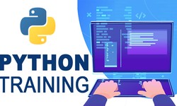 Elevate Your Programming Skills: Python Certification Online for Beginners