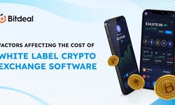 Unveiling The Factors Behind The Cost of White Label Crypto Exchange Solution