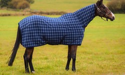 How Do I Care for Winter Horse Rugs? Your Guide to Keeping Them Cosy and Clean