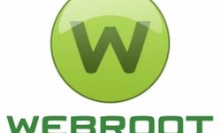 Securing the Future: A User's Guide to Webroot's Cyber Defenses