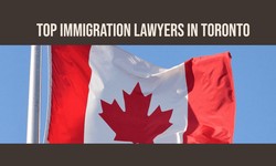 How to Find the Best Immigration Lawyer in Toronto