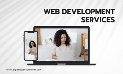 Exploring the Benefits of Professional Website Development Services and Plan