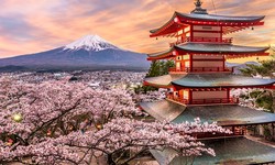 The Power of Togetherness: Japan Group Tours for Memorable Experiences