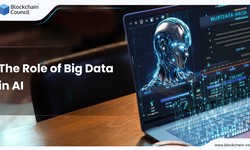 The Role of Big Data in AI