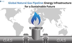 Navigating the Global Natural Gas Pipeline: Energy Infrastructure for a Sustainable Future