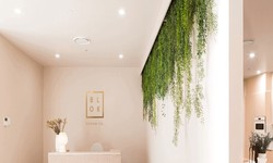 Best Places to Display Artificial Hanging Plants
