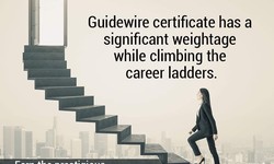 The Impact of Guidewire Services in USA on Efficiency and Excellence