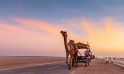 Explore Bhuj to Kutch: White Desert, Rich Culture!