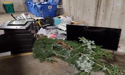 Introduction to Junk Removal in Richmond
