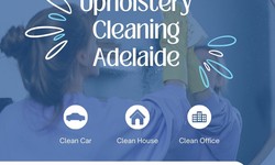 Revitalize Your Upholstery: Cleaning in Adelaide