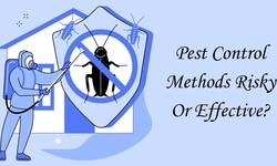Pest Control Methods Risky Or Effective?