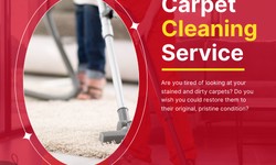 Revive and Thrive: The Carpet Cleaning Revolution