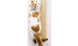 Choosing the Purr-fect Smart Cat Scratching Post for Your Feline Friend