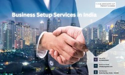 Streamlining Success: VJM & Associates LLP's (VJM Global) Expert Business Setup Services in India