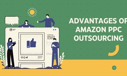 Navigating the Amazon Jungle: Unveiling the Top PPC Agencies for Sellers