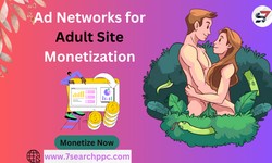 Adventures in Revenue: Exploring Ad Networks for Adult Site Monetization