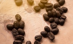 Discovering The World Of Skybury Coffee