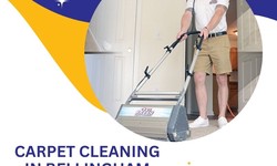 Bellingham's Elegance Underfoot: A Deep Dive into Carpet Cleaning Excellence