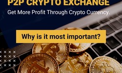 How does P2P Cryptocurrency Exchange Platform work? Why is it most important to exchange crypto?