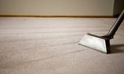 Wave Goodbye to Stains: Dive into Professional Rug Cleaning in Nudgee Beach
