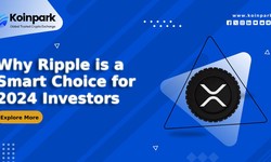 Why Ripple is a Smart Choice for 2024 Investors