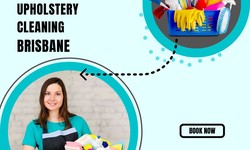 Keeping It Clean: Upholstery Cleaning in Brisbane