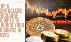 Top 5 Centralized Exchange Scripts to Launch Your Business in 2024
