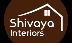Elevate Your Space: Discover the Elegance of WPC Wall Panels and Cladding in Delhi with Shivaya Interiors