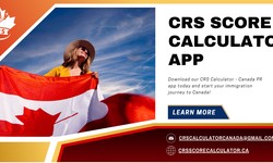 Check Your PR Points with the CRS Score Calculator App | Download from Google Play Store