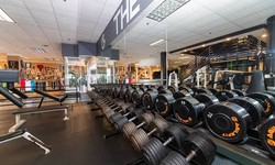 World Gym San Diego Reviews: Honest Opinions and Ratings