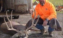 The Ultimate Guide to Deer Hunting in Colorado