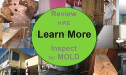 Comprehensive Guide to Effective Black Mold Removal by Mold Inspections Los Angeles