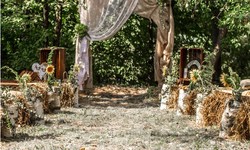 Enchanted Forest: Exploring The Woodlands Wedding Venue